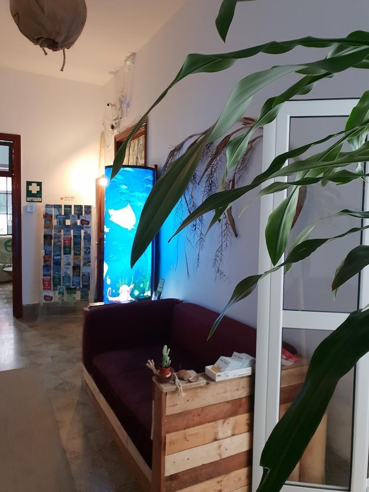 Cactus Host Hostel Las Palmas de Gran Canaria Luaran gambar